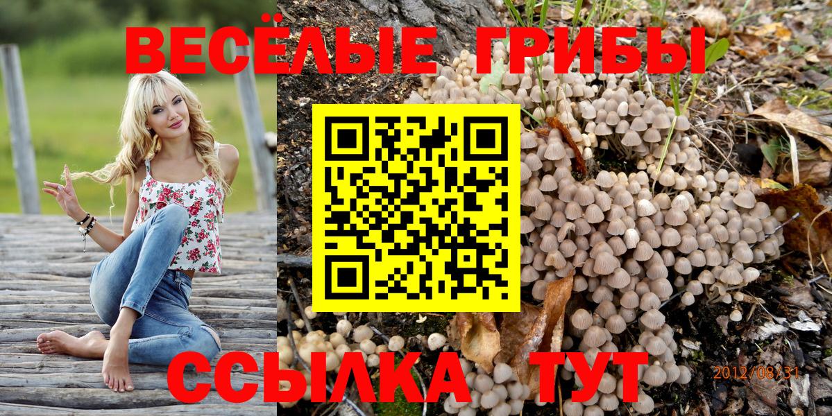 Кольчугино  Галлюциногенные грибы Psilocybine cubensis  Псилоцибиновые грибы Psilocybine cubensis  Вход с VPN 