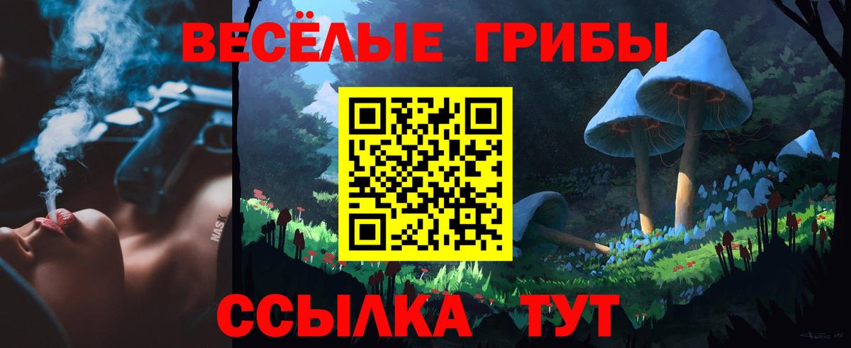 Галлюциногенные грибы Psilocybe Кольчугино